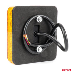 Llambë e pasme e kombinuar-4