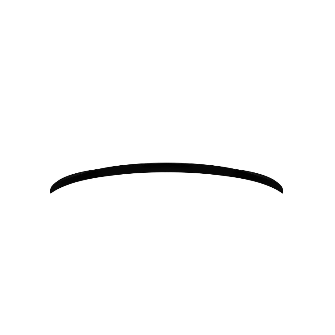 Spoiler bagazhi BMW 3 Series F30 11-19 M-Tech, ORGINAL-1